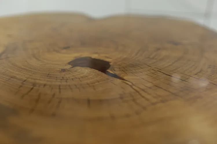 Product image IMG_0884_4a83782039