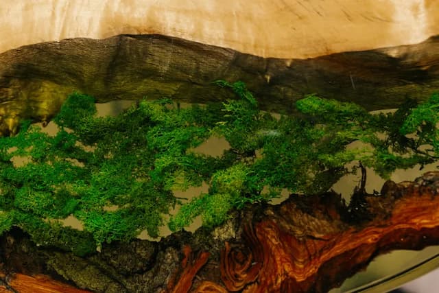 Product image [object Object]