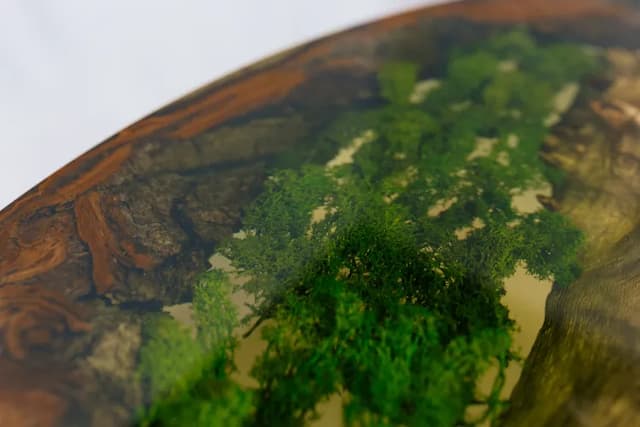 Product image [object Object]