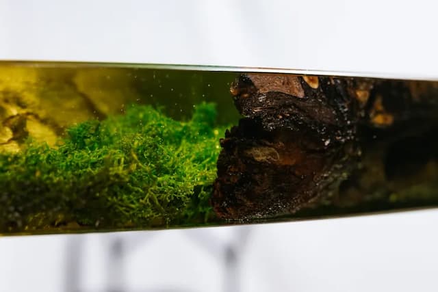 Product image [object Object]