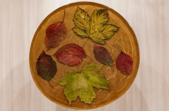 Product image [object Object]