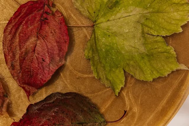 Product image [object Object]