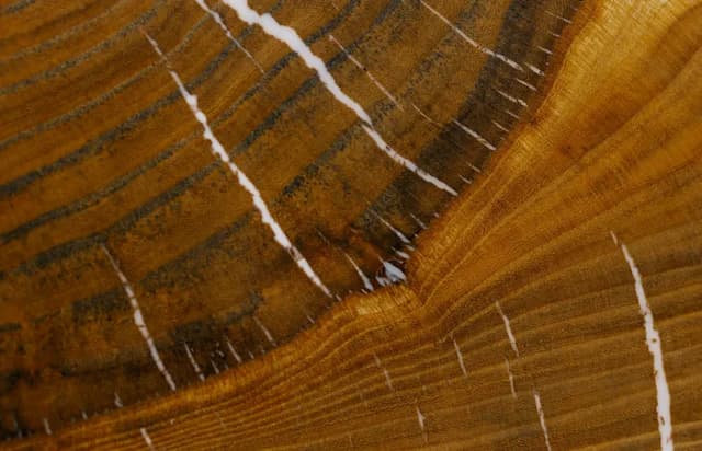 Product image [object Object]